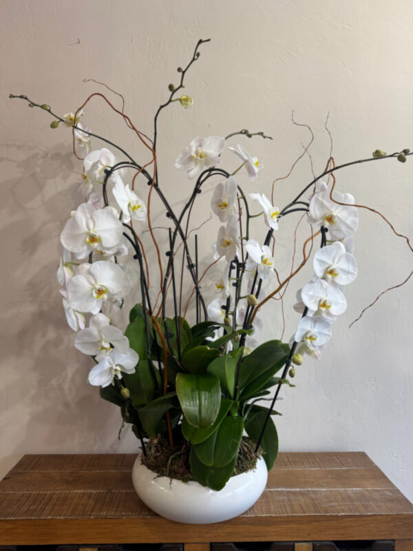 Elegant Orchid Bowl